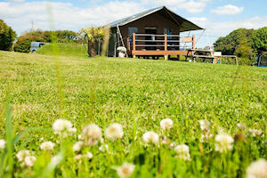 Lamorna Glamping Safari Tent Glamping Cornwall