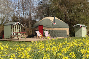 Wye Glamping Powys Wales - Yurt Glamping and Camping Site Powys
